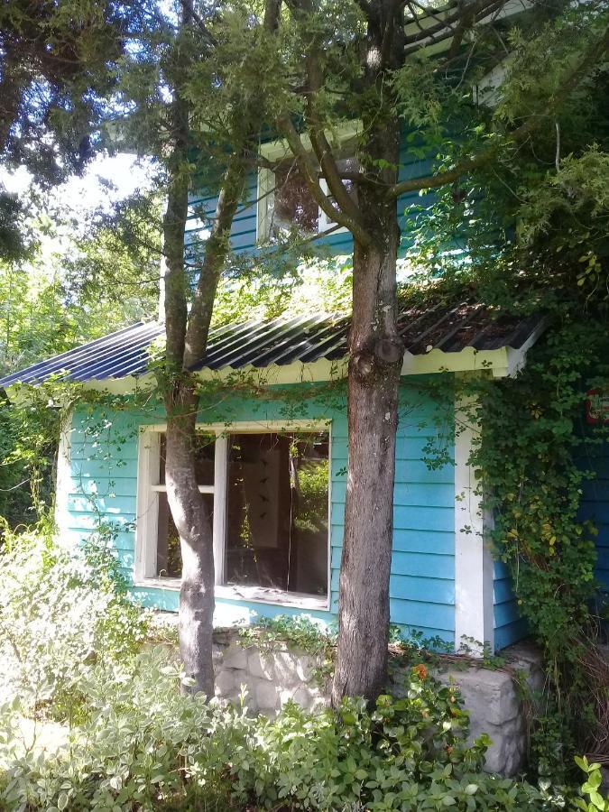 Bed & Breakfast Dodo House