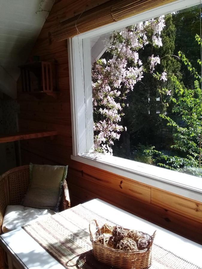 Bed & Breakfast Dodo House *