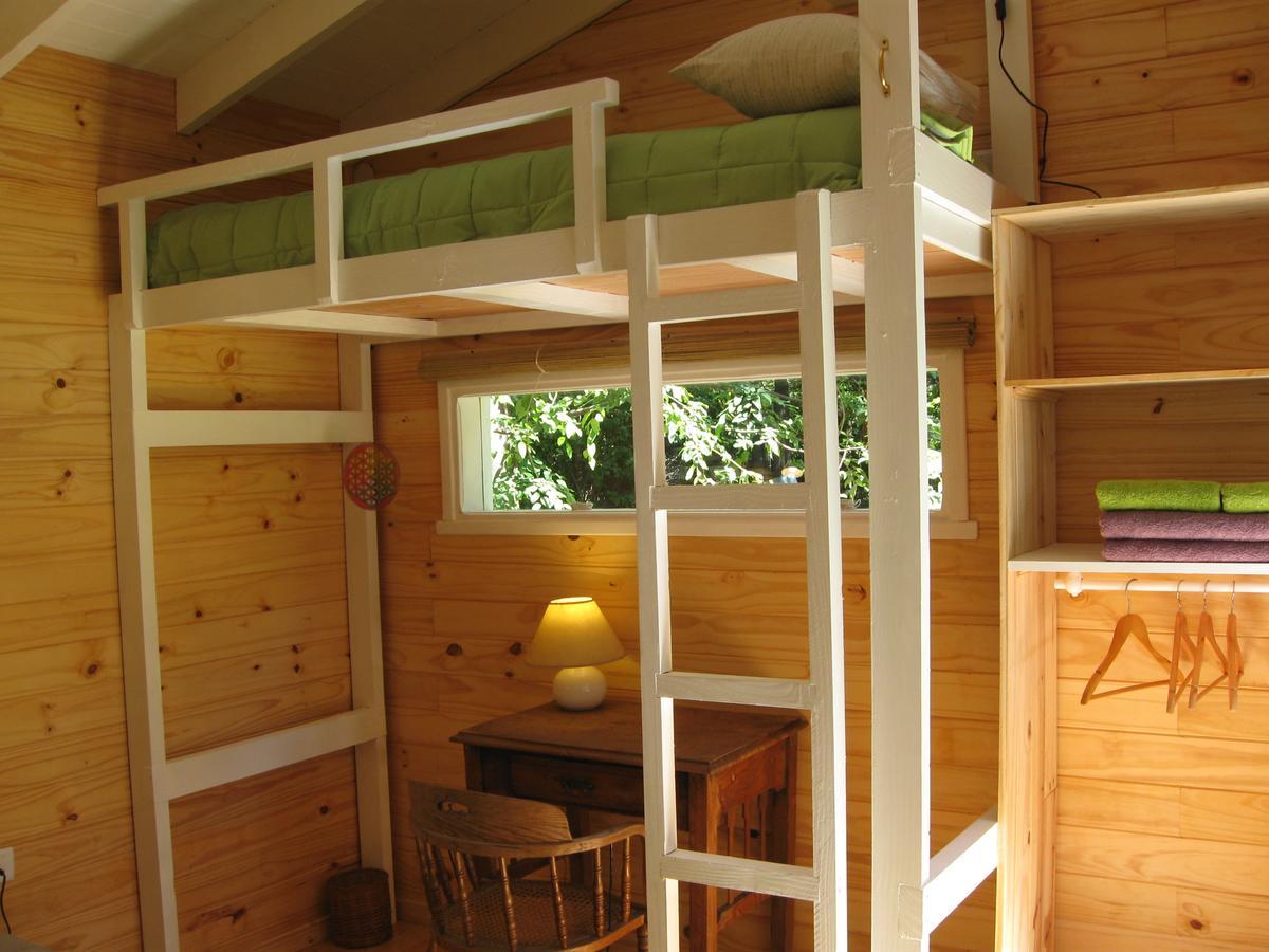 Bed and breakfast Dodo House